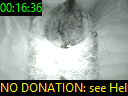 00:16:36