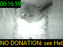 00:16:59