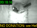 00:18:16