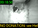 00:18:50