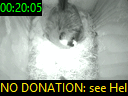 00:20:05
