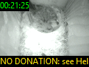 00:21:25