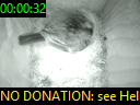 00:00:32
