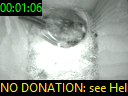 00:01:06