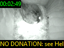 00:02:49