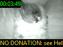 00:03:49