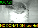 00:07:21