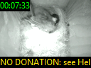00:07:33