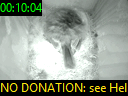 00:10:04