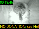 00:19:46