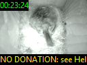 00:23:24