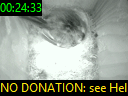 00:24:33