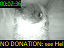 00:02:36