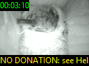 00:03:10