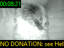 00:08:21