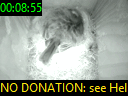 00:08:55