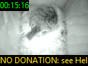 00:15:16
