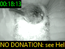 00:18:13