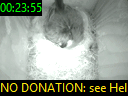 00:23:55