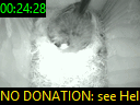 00:24:28