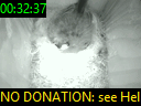 00:32:37