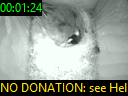 00:01:24