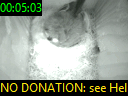 00:05:03