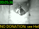 00:05:36
