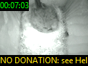 00:07:03