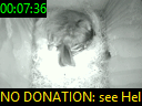 00:07:36