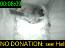00:08:09