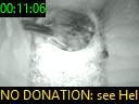00:11:06