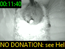 00:11:40