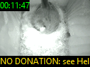 00:11:47