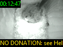 00:12:47