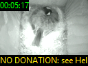 00:05:17