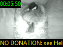 00:05:50