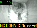 00:12:46