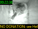 00:22:38