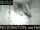 00:25:21