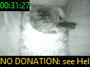 00:31:27