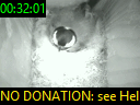 00:32:01