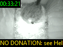 00:33:21
