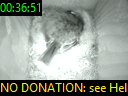 00:36:51