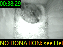 00:38:29