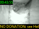 00:43:55