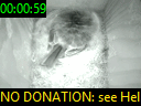 00:00:59