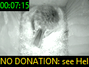 00:07:15
