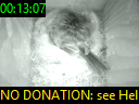 00:13:07