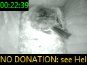 00:22:39